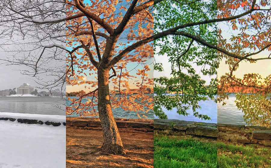 Composed for Our Climate